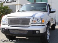 Ranger  Billet Grille Insert 2006 - 2007 : T-Rex 20661