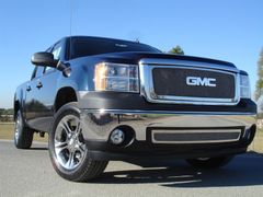 Sierra  Mesh Grille 2007 - 2007 : T-Rex 54205