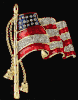 Elegant Waving Flag Pin