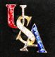 USA Crystal Pin