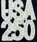 USA 250 Brthday Pin