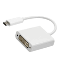 Insta360 Ace Pro USB Type C to DVI HD TV Cable Insta360 Ace Pro USB Type C to DVI HD TV Cable