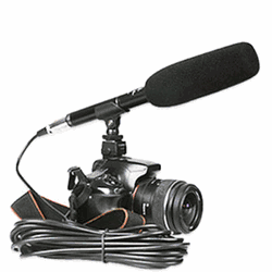 Panasonic Lumix DC-S1RM Stereo Microphone