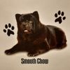 SMOOTH CHOW DOG BREEDS (FRONT PRINT)