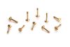 CH129 2x11mm Large Head Brass Screws 10pcs