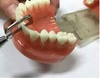 Reciprocating IPR Strip