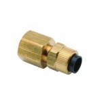 DCI 1/4" Poly x 1/4" FPT