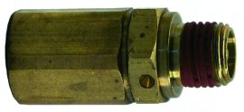 Check Valves - Stainless Check Valve 1/4" Male x Female