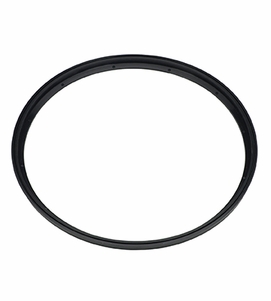 DCI A-dec Lisa/W&H Sterilizer Gasket