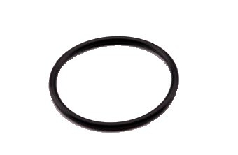 DCI Gasket for Filter Housing, 1", 1 1/4", 1 1/2"