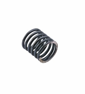 DCI Pelton & Crane Motor Isolator Spring; Pkg of 12