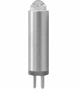 Halogen Bulb - Forest/Beaverstate