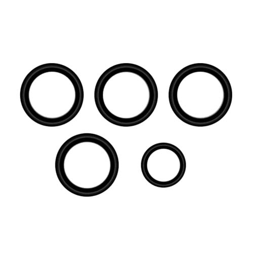 NSK PTL O-ring Set