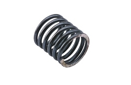 DCI Pelton & Crane Motor Isolator Spring; Pkg of 12
