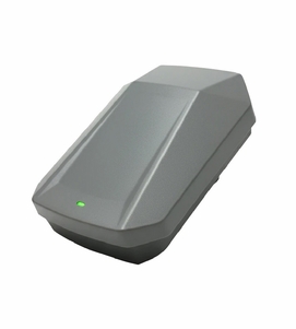 Ram BP Mini Pedal