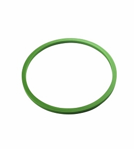 Sterilizer Door Gaskets and Seals