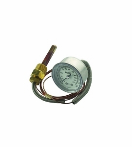 Thermostat And Temperature Gauge