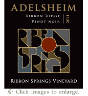Adelsheim Pinot Noir 2021 Ribbon Springs Vineyard Willamette Valley
