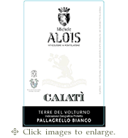 Alois Pallagrello Bianco 2024 