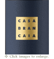 Brancaia Merlot Blend 20221 