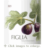 Figgins Merlot 2021 