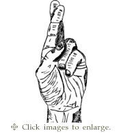 Fingers Crossed Chardonnay Blend 2022 'Life and Death' Central Coast