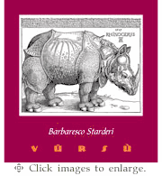 La Spinetta Nebbiolo 2021 Vursu Vigneto 'Starderi' Barbaresco Piedmont