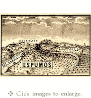 Liopart Sparkling Wine 2013 Original 1887 Gran Reserva Cava Cataluna