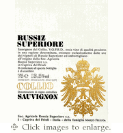 Russiz Superiore Sauvignon Blanc 2023 Collio Friuli-Venezio Giulia
