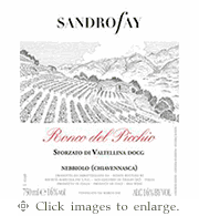 Sandro Fey Nebbiolo 2019 'Ronco del Picchio' Sforzato di Valtellina Lombardy