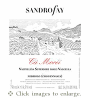 Sandro Fey Nebbiolo 2021 'Ca Morei' Valtellina Superiore Valgella Lombardy