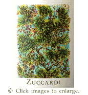 Zuccardi Chardonnay 2022 'Finca Las Cuchilias' San Pedro Valle de Uco Mendoza !!SOLD OUT!!