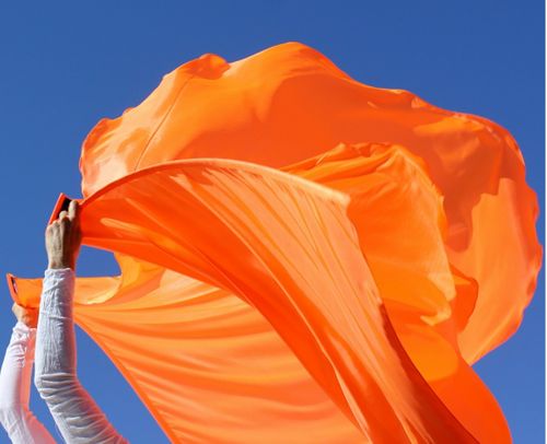 Flourescent Orange 'Sound the Alarm!' Warning Blast Worship Matte Flags Set of 2 with Flex Rods Flexible Banner by Beauty for Ashes 