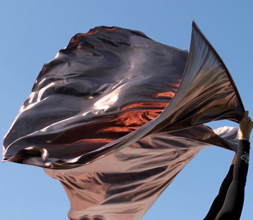Jeremiah 15:12 'Strong' Metallic Bronze Brown Flowy Worship Dance Banner Praise Easy Flags Set of 2 Superflex Rod by Beauty for Ashes 