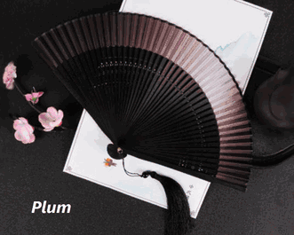 Edo Japanese-Style Folding Fan