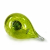 Bianco Blu Limited-Edition Green Jay