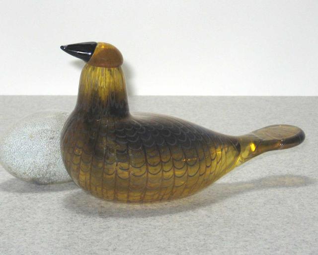 イッタラ オイバ トイッカ Karelian golden cuckoo