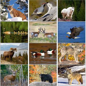North American Outdoor Wildlife Promotional Logo Calendars