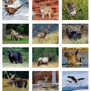 Sportsman Clothing Advertising Logo Calendars