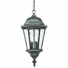 Acclaim Lighting 5516BC Telfair Traditional Black Coral Exterior Hanging Lamp