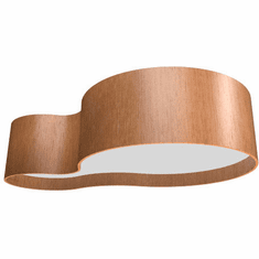 Accord Lighting 5064LED Organic Modern LED Flush Mount Ceiling Light Fixture