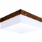 Accord Lighting 577LED.06 Clean Imbuia LED Overhead Lighting Fixture - alt