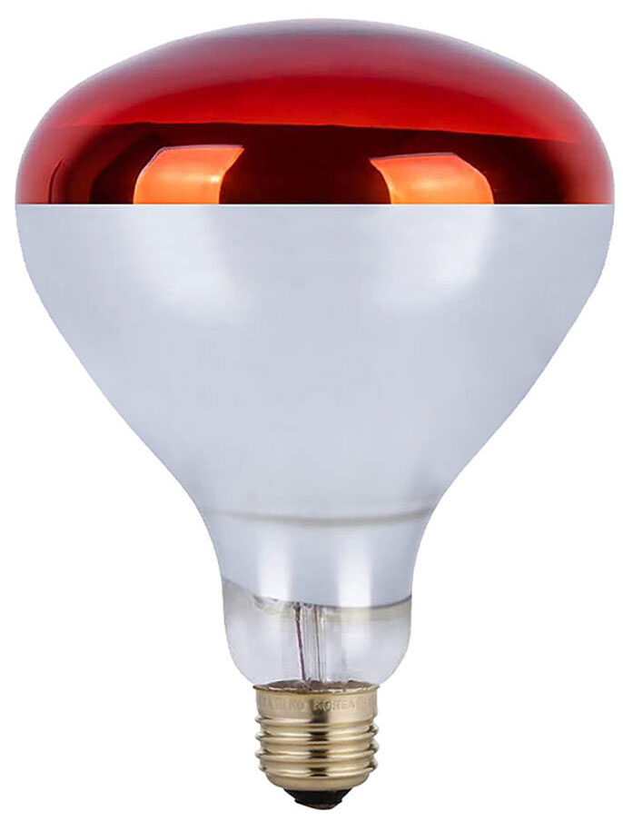 Cyber Tech IB250R40RDHL/2PK Contemporary RED Heat Lamp Bulb (Pack of 2
