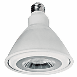 Elco PAR38FLD Recessed Lighting PAR38 LED Lamp