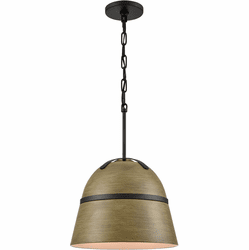Elk Home 69510/1 Davina Modern Matte Black 13" Drop Lighting Fixture