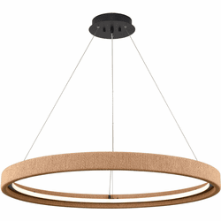 Elk Home 81726/LED Hugo Modern Matte Black LED Drop Ceiling Lighting