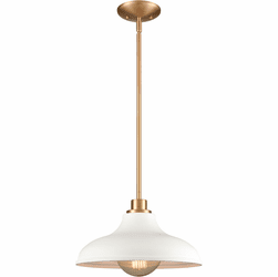 Elk Home 89334/1 Grenville Modern Brushed Gold Hanging Light