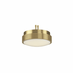 Fanimation LK8561BS Kute 60 Contemporary Brushed Satin Brass LED Ceiling Fan Light Fixture