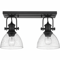 Golden Lighting 3118-2SF BLK-SD Hines Matte Black Ceiling Light Fixture