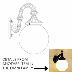 Hanover Lantern B164FRM Omni Large Outdoor Lamp Sconce